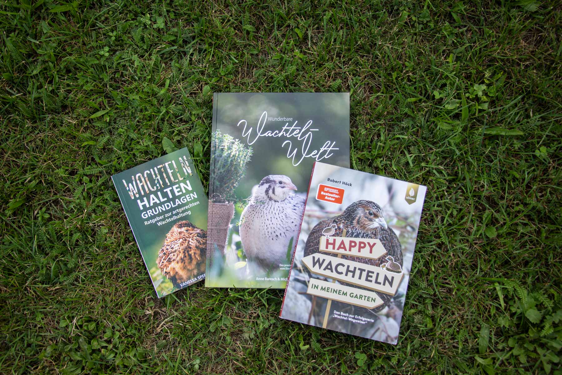 Wachtelbücher im Vergleich