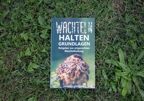 Buch Wachteln halten Grundlagen