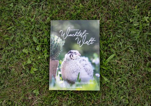 Buch Wunderbare Wachtel-Welt
